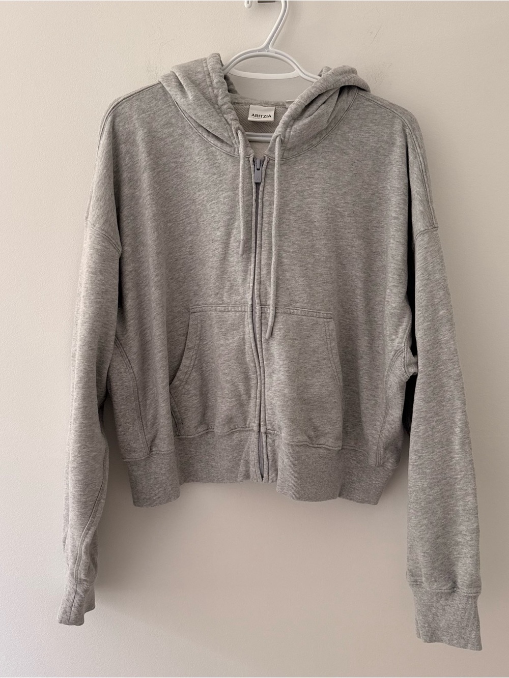 Aritzia Sweatfleece cropped boyfriend fit Hoodie